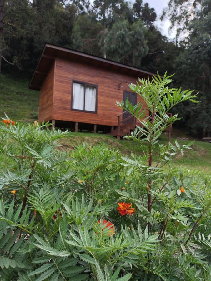 Quinta Dos Ventos Chale Villa Urubici Exterior photo